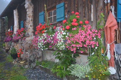 DSC_9364.JPG