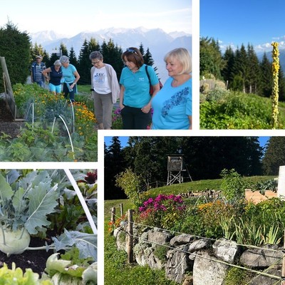 Naturgarten und a Höckle mit Jause bei Birgit in Dünserberg am Freitag, den 18.8.2023