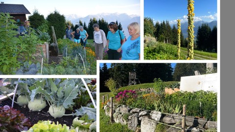Naturgarten und a Höckle mit Jause bei Birgit in Dünserberg am Freitag, den 18.8.2023
