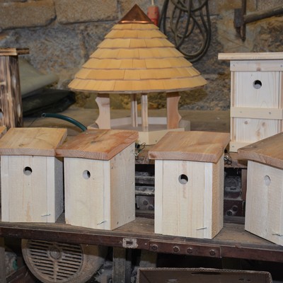 Nistkasten für Meisen bauen am Sa. 19.10.19 beim Gemeindebauhof Sulz