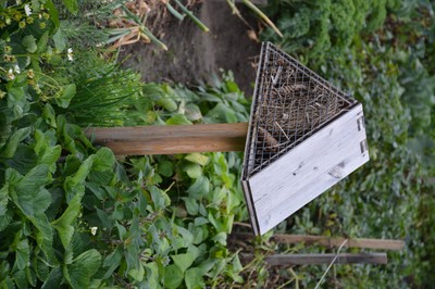 DSC_6595.JPG