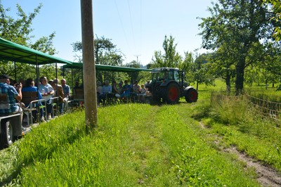 Mostzügle 1