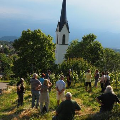OGV Sulz-Röthis blickt hervorragendem Weinjahr entgegen