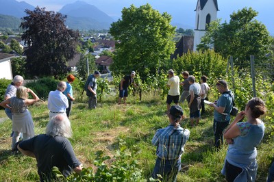 Laubarbeiten 01 DSC_1138b.jpg