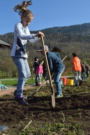 OGV Vortrag zum Thema "Garten für die junge Familie"