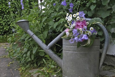 ogv - Garten.jpg
