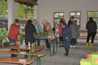 DSC_2635.JPG