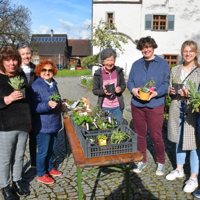 Pflanzentauschbörse 2023 OGV Sulz-Röthis / Umweltausschuss Röthis am Sa. 29.4.2023
