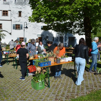 Pflanzentauschbörse 2024 - Umweltausschuss Röthis - OGV Sulz-Röthis am Samstag, 27.04.2024 von 09:00 bis 12:00