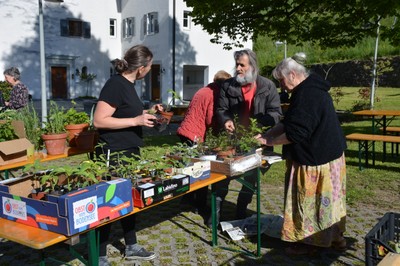 DSC_5717.JPG