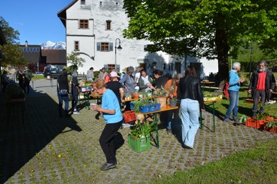 DSC_5721.JPG