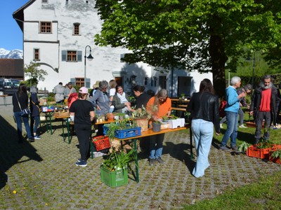 DSC_5722.JPG