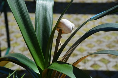 DSC_5726.JPG