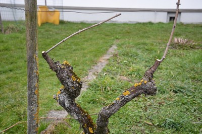 DSC_3738.JPG