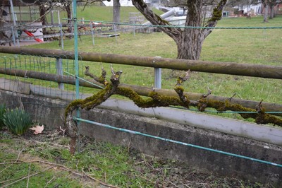 DSC_3747.JPG