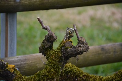 DSC_3748.JPG