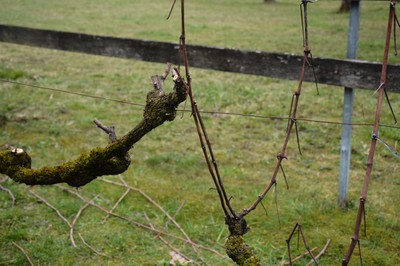 DSC_3755.JPG