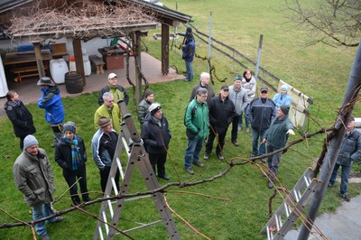 DSC_3756.JPG