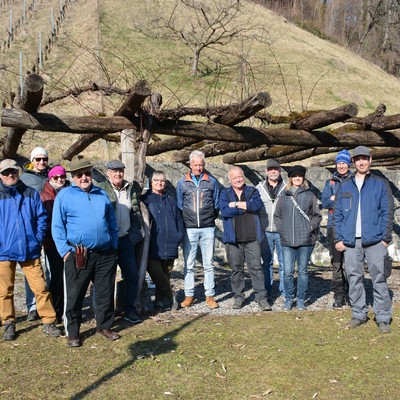 Rebenschnittkurs mit Michael Nachbaur am Sa. 5.3.22 beim Schlößle in Röthis