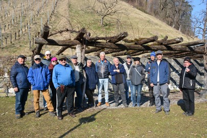 Rebenschnittkurs mit Michael Nachbaur am Sa. 5.3.22 beim Schlößle in Röthis