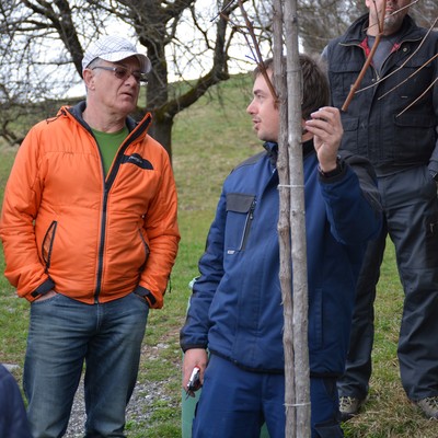 Rebenschnittkurs mit Michael Nachbaur