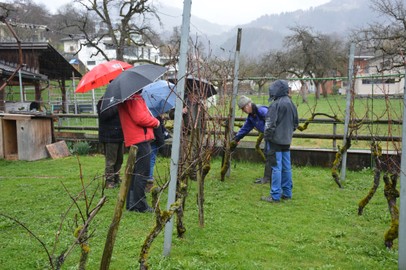 Rebschnittkurs am Samstag, den 25.3.17 in Röthis