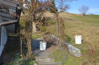 DSC_2575.JPG