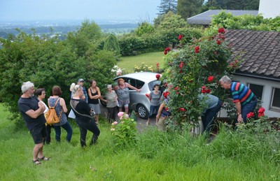 DSC_1148b.jpg