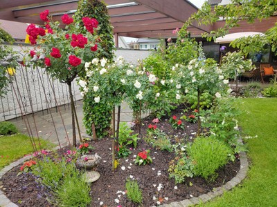 IMG20240601143544.jpg