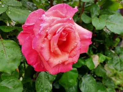 IMG20240601150649.jpg
