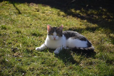 DSC_5725.JPG