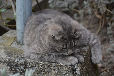 DSC_3831.JPG