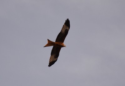 DSC_3844.JPG