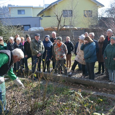 Rosenschnittkurs mit Rudi Waibel am Samstag 4 März 2023 beim Freihof in Sulz