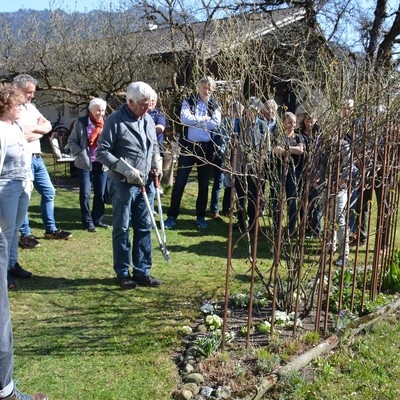 Rosenschnittkurs mit Rudi Waibel am Sa. 23.3.19