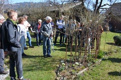 Rosenschnittkurs mit Rudi Waibel am Sa. 23.3.19