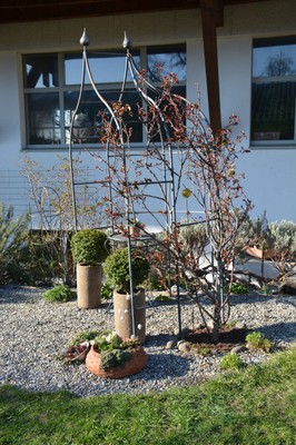 DSC_9667.JPG