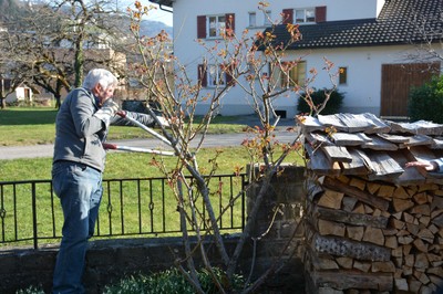 DSC_9671.JPG