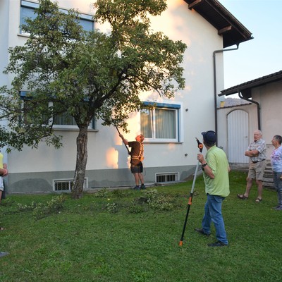 Sommer-Obstbaumschnitt mit Lothar Lins am Donnerstag, 25 August 2022