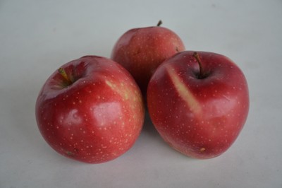DSC_3331.JPG