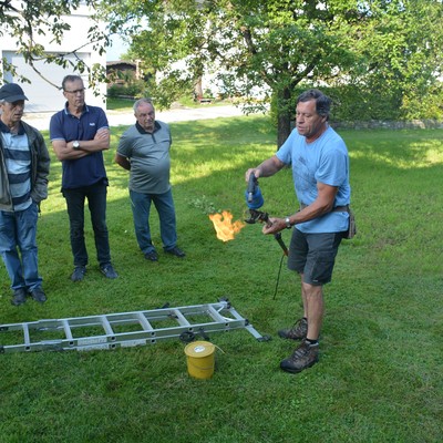 Sommer-Obstbaumschnitt mit Lothar Lins am Sa. 24.8.2019 in Röthis