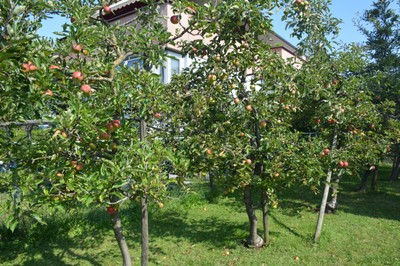 DSC_0721.JPG