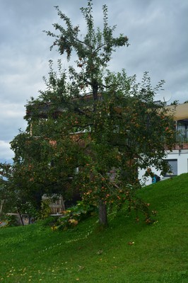 22_DSC_1680.JPG