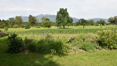 10b-DSC_0005.JPG