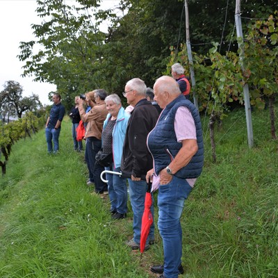 Weinerlebnis 2022 OGV Sulz-Röthis am Donnerstag 15.9.22