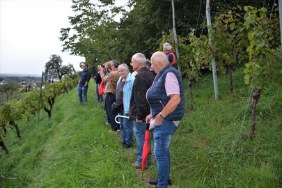 Weinerlebnis 2022 OGV Sulz-Röthis am Donnerstag 15.9.22