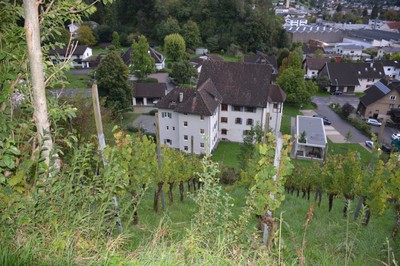 DSC_3337.JPG