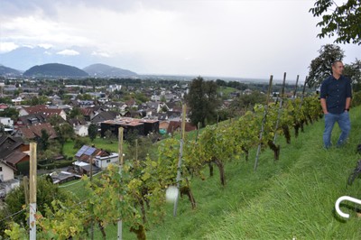 DSC_3338a.jpg