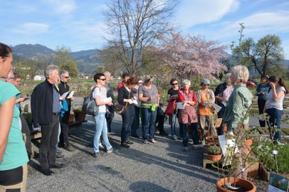 Wildobstsorten mit Elke Kopf am Sa. 31.3.2017