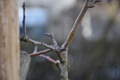 DSC_3570.JPG